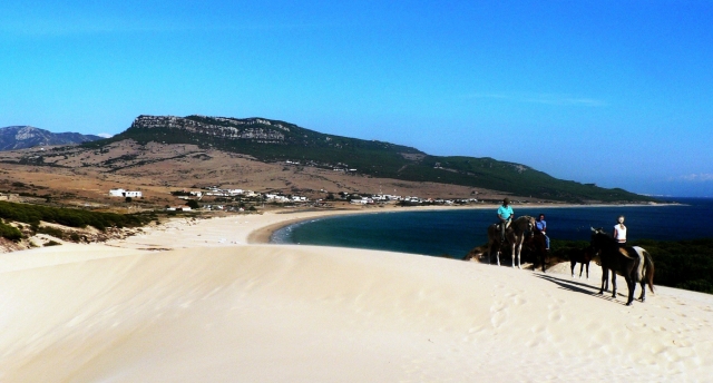  Passeggiate a cavallo sulla spiaggia 